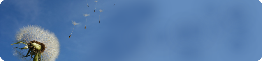 bannière de titre avec pissenlit en graine sur ciel bleu illustrant la prestation de Balades Philosophiques
