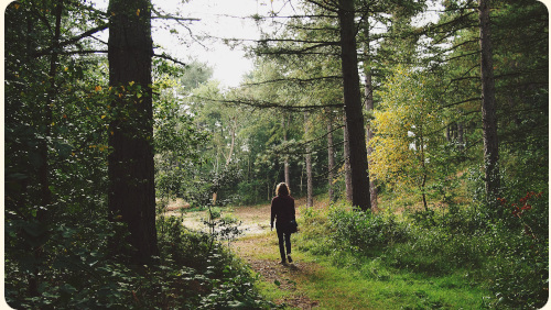 plan lointain d'une femme qui marche seule de dos en forêt vers une clairière illuminée, elle prend du temps pour elle