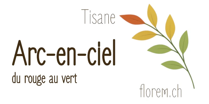 Tisane 1